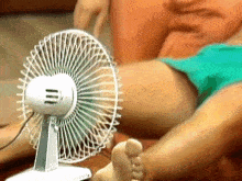 Fan Heatwave GIF by MOODMAN