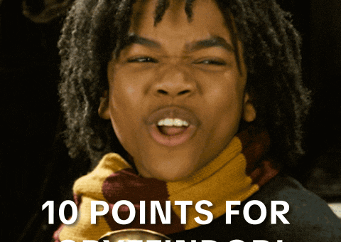 Warner Bros Celebration GIF by Harry Potter
