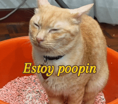 Poop Pooping