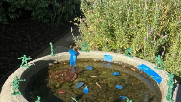 It’s not algae, it’s American flag blue
