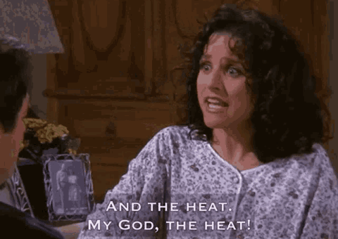 Im Hot Julia Louis Dreyfus GIF by slicedbread