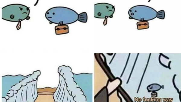 No fkin way