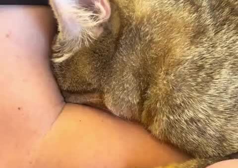 Justice for Brown Sugar! His mom scolded him!!