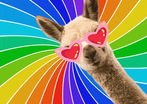 Love Is Love Rainbow GIF by Unscreen