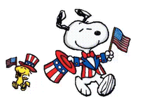 May The Fourth Be With You Independence Day