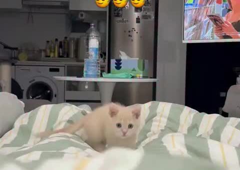 You’re ded