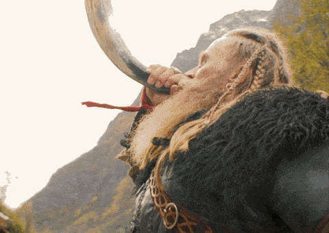 Thor Vikings GIF by THE BEARD STRUGGLE