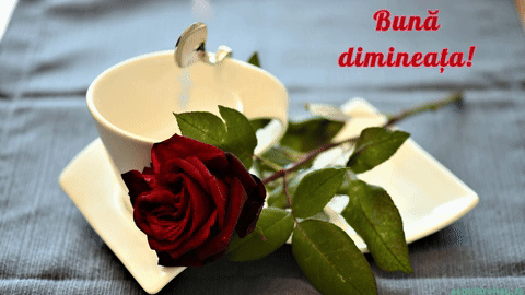Good Morning Love GIF by echilibrultau