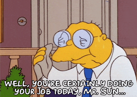 The Simpsons Sun