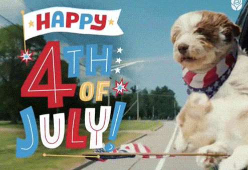 4Th Of July Usa GIF by AmericanGreetings.com