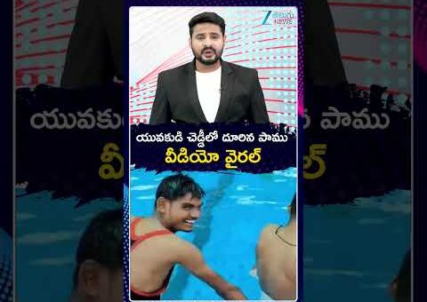 Viral Video | Snake | యువకుడి చెడ్డీలో దూరిన పాము వీడియో వైరల్.. | ZEE Telugu News