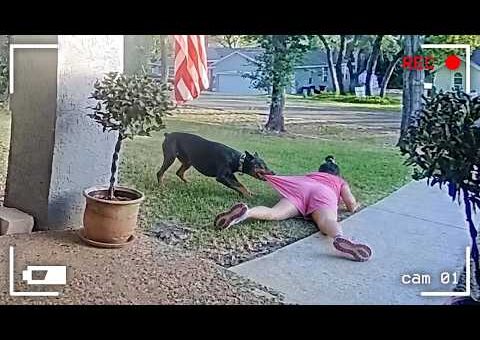 Best Fails of the Month 😂 Try Not to Laugh Challenge