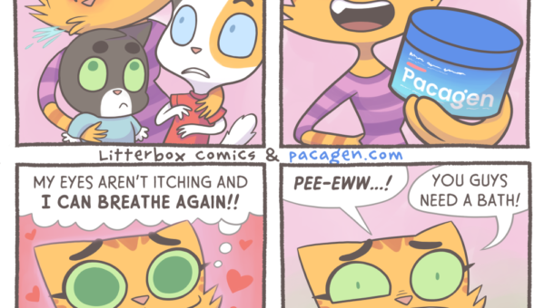Cat Allergies [OC]