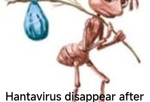 No spinoff brochacho