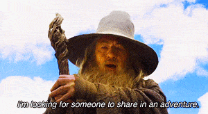 The Hobbit Im Looking For Someone To Share In