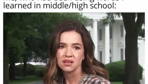 The education system at it’s finest😶‍🌫️😭😭