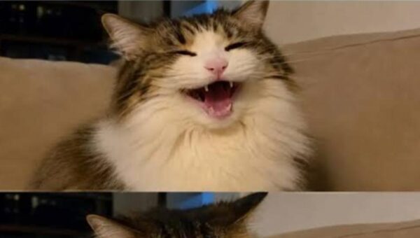 Sudden realisation