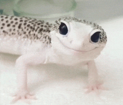 Wink Reaction GIF by reactionseditor