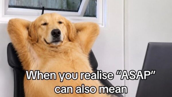 My brain whenever someone says ASAP