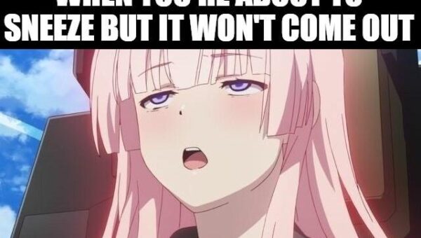 Error 404: Sneeze not found