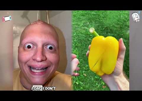 🤣👌👌👌2026 pov Must-Watch Crazy Clips Compilation #humor #fypシ #pov #fyp #foryou 😍😜