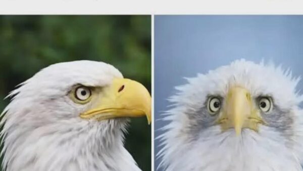 Cannot unsee it now