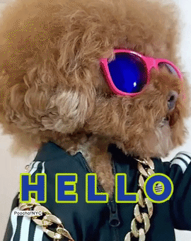 Whats Up Hello