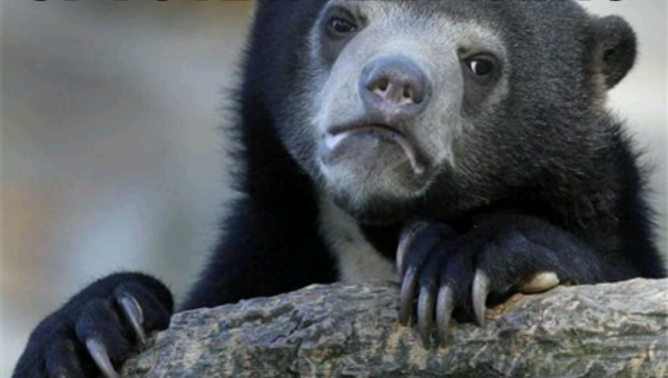 When principle overrides societal rules. But today you do you