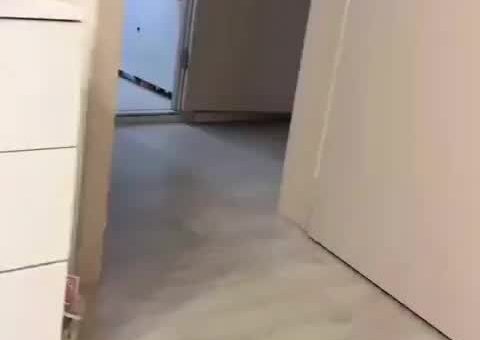 Parkour
