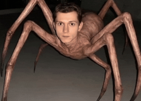 Spider-Man Marvel