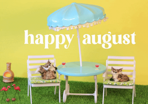 Stop Motion Summer GIF by Stephanie