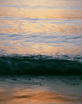 Hello August GIF by Golden Way Media Films