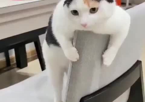 Viral Post