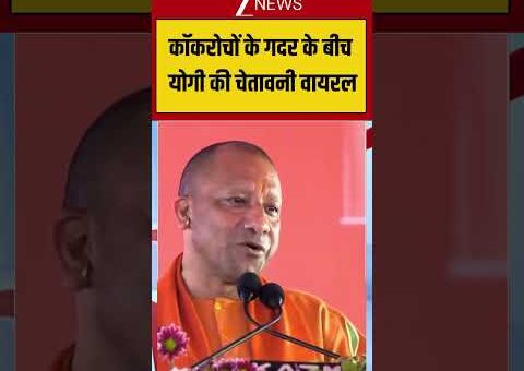 CM Yogi : कॉकरोचों के गदर के बीच योगी की चेतावनी वायरल | UP Election…