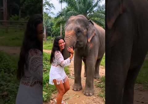 The Most Unexpected Wildlife Encounters Caught On Camera! 🐘#trending #elephant #monkey