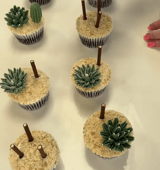 Piping cacti and succulent cupcakes