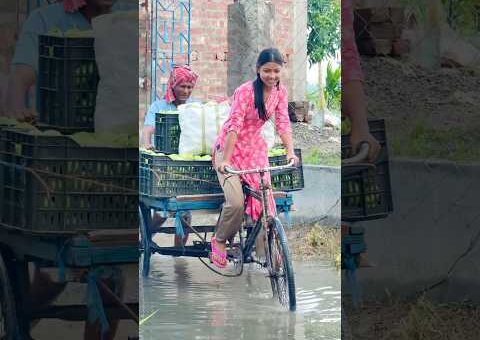 জলের মধ্যে দিয়ে সব আম আনতে হচ্ছে 🥭. #viral #video #explore #village #villagelife #explorepage