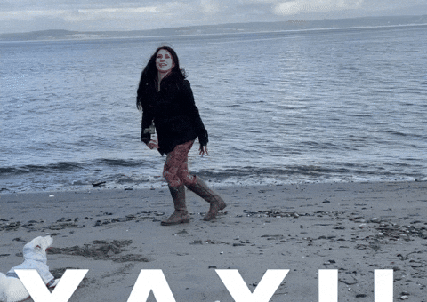 Y A Y Yes GIF by Djemilah Birnie