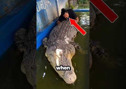 Top 5 Most Incredible Animal Moments Ever Caught on Camera! 🐯😱 #Top5 #AnimalMoments #CaughtOnCamera