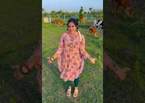 Naangadha maadu🐮😅|#black #love #cow #trendingnow #keerthiyuvaraj