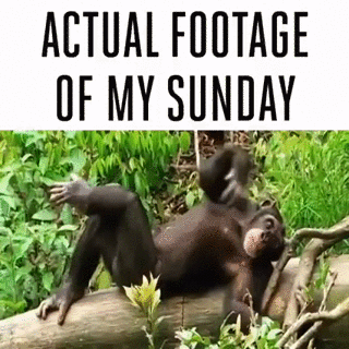 sundays