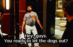 bradley cooper hangover