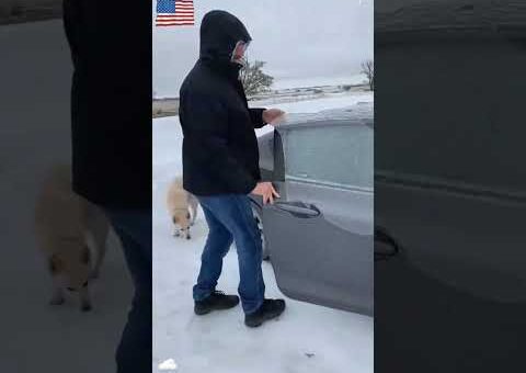 Best snow compilation
