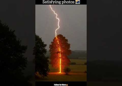 Satisfying Photos That Feel Illegal To See 😍😤 pt 18 #shorts