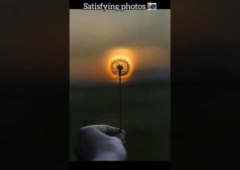 Satisfying Photos That Will Reset Your Brain 😍🤯 pt 16 #shorts