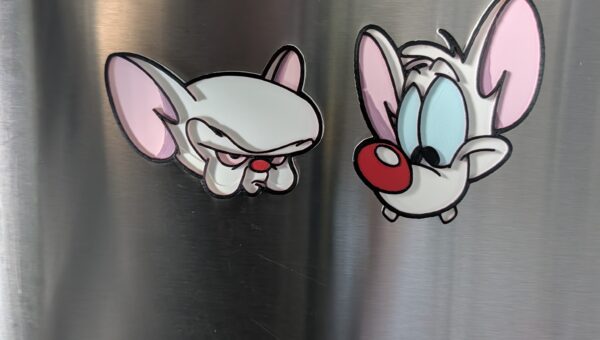 Pinky and the brain!