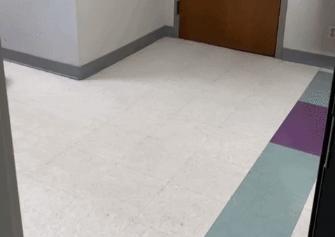 Tesla GIF by PlugYourHoles