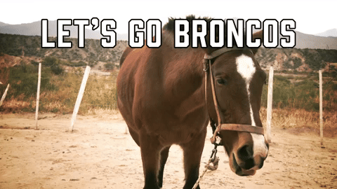 Denver Broncos Football GIF by Sealed With A