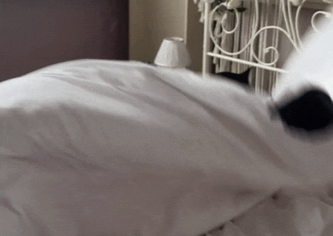 Trending GIF