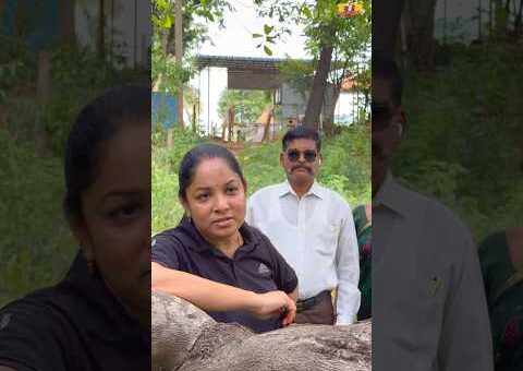 ఆడపిల్లలకి రక్షణ police..🔥#trendingshorts #trending #viralvideo #viralshorts #trendingnow